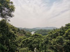 -天鹿湖森林公园