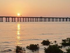 -宝安西湾红树林湿地公园