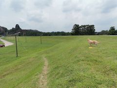 -堤边美食