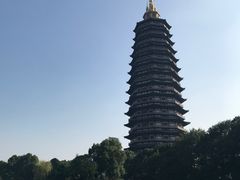 -听松楼·花园酒店·自助餐厅(红梅公园店)