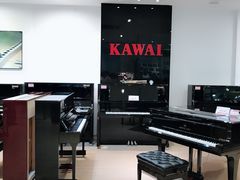 -柏斯琴行(汾阳店)
