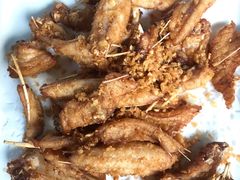 -正能量脆肉鲩火锅