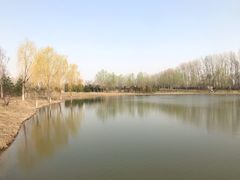 -东郊湿地公园