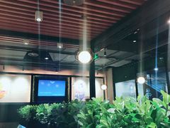 大堂-东椰·海南椰子鸡火锅(朝阳门店)