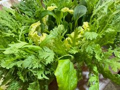 -爱新觉罗福臨火锅馆(万科滑雪场店)