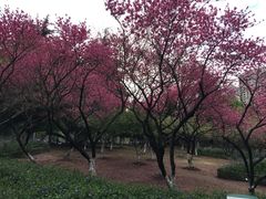 -白塘生态植物园
