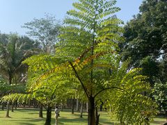 -中国科学院西双版纳热带植物园
