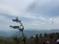 -牛背梁国家森林公园