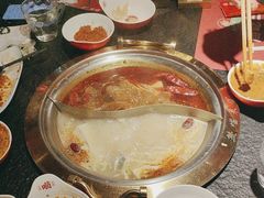 -熊喵来了火锅·牧场好肉(邯郸邯山万达店)