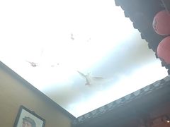 -徽三说·土徽菜·中国徽菜连锁品牌(一中店)