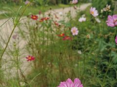 -京东大溶洞景区