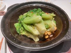 虾酱啫马兰生菜-十六台·经典广东菜(德外大街店)