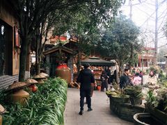 -青城甲(青城山店)