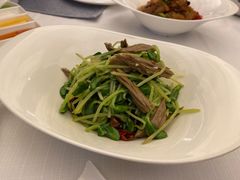 豌豆苗拌黑腐竹-北京厨房(西安SKP店)