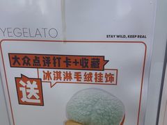 -野人先生现做冰淇淋(西安赛格店)