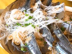 扇贝-鸿达渔港