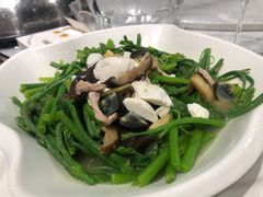 -天鹰观渔(梦园店)