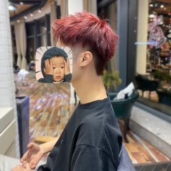 -IDOL-PLUS