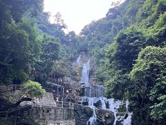 -鼎湖山风景区
