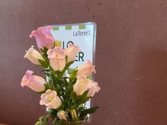 -La Terre乐田(万象城店)