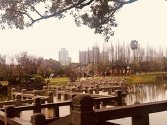 -江心屿景区