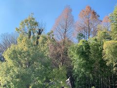 -罗田薄刀峰风景区