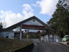 -中国大熊猫保护研究中心雅安碧峰峡基地