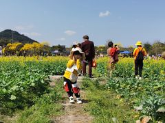 -红山村