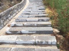 -五龙城郊森林公园