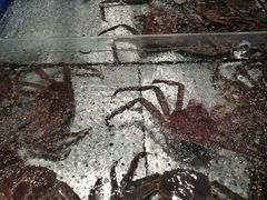 -浩运·海鲜青岛菜·海胆水饺(石老人店)