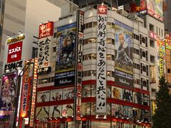 -秋叶原电器街