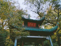 -茶颜悦色(岳麓山顶店)