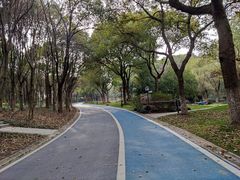 -新洲生态园