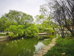 -江心屿景区