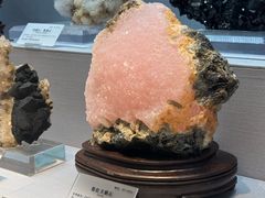 -湖南省地质博物馆