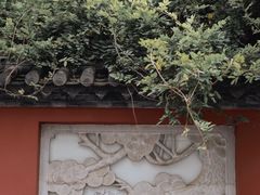 -真庆观