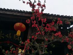 -小陈方酥锅盔(古城总店)