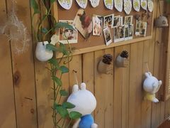 -猫色咖啡·猫咖