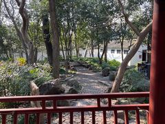 -秋霞圃