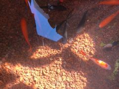 -泉乐坊步行街(烟酒特产平价超市店)