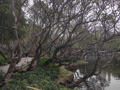 -晓港公园
