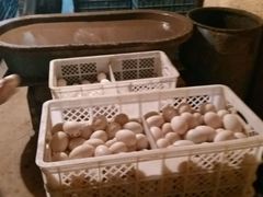 白洋淀绿淀土特产咸鸭蛋-白洋淀绿淀尚品土特产