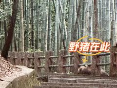 -敬亭山风景名胜区