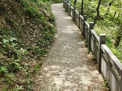 -句容茅山景区