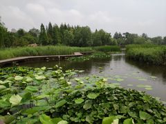 -前关湿地公园
