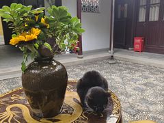 -西园戒幢律寺