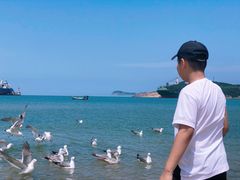 -海驴岛(荣成市)