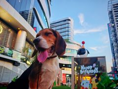 -深圳来福士广场