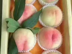 -南汇水蜜桃采摘(大团店)