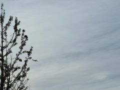 -德全心悦酒店(北京金台路地铁站店)